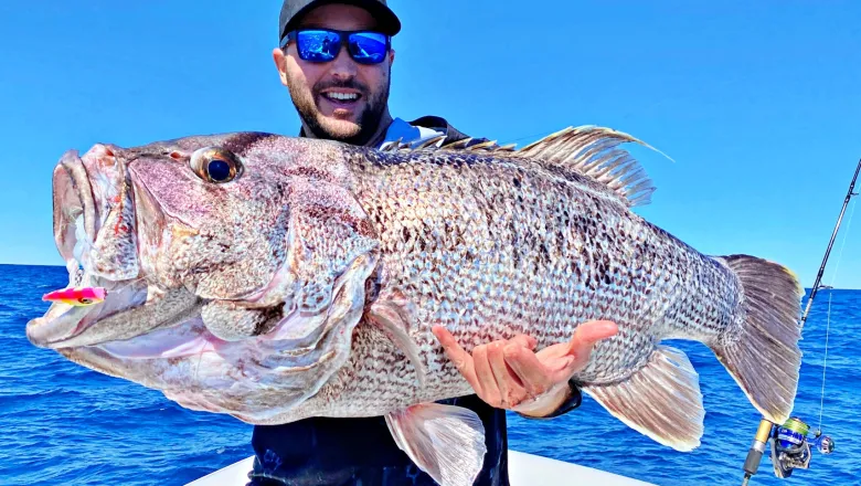 Assassin Flies|Fishing Rods<Spinmaster