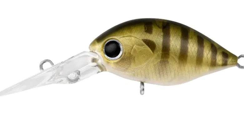 Daiwa Flies|Fishing Lures<Infeet Rolling Crank DR