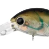 Daiwa Flies|Fishing Lures<Infeet Rolling Crank DR