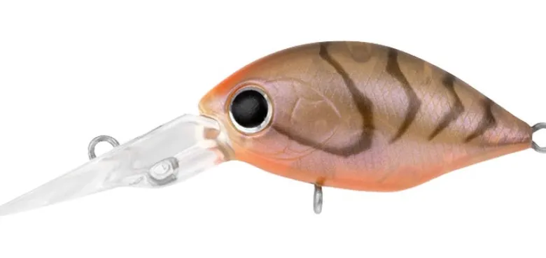 Daiwa Flies|Fishing Lures<Infeet Rolling Crank DR