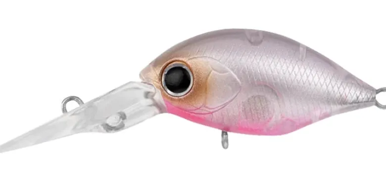 Daiwa Flies|Fishing Lures<Infeet Rolling Crank DR