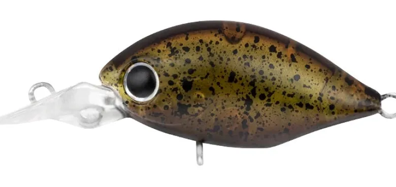 Daiwa Flies|Fishing Lures<Infeet Rolling Crank MR