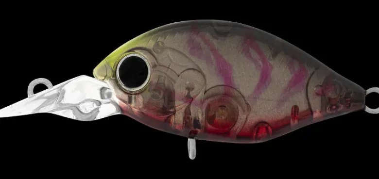 Daiwa Flies|Fishing Lures<Infeet Rolling Crank MR