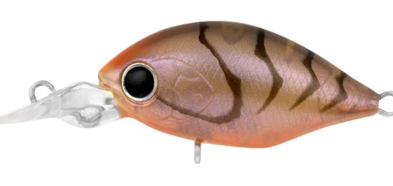 Daiwa Flies|Fishing Lures<Infeet Rolling Crank MR