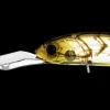 Daiwa Flies|Fishing Lures<Infeet Spike 53EXDR