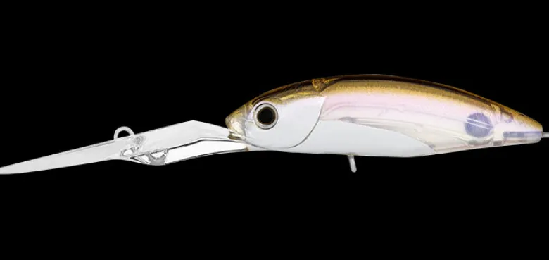 Daiwa Flies|Fishing Lures<Infeet Spike 53EXDR