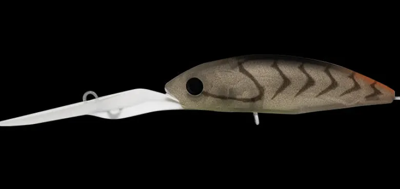 Daiwa Flies|Fishing Lures<Infeet Spike 53EXDR