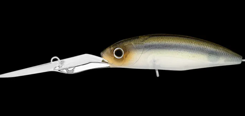 Daiwa Flies|Fishing Lures<Infeet Spike 53EXDR