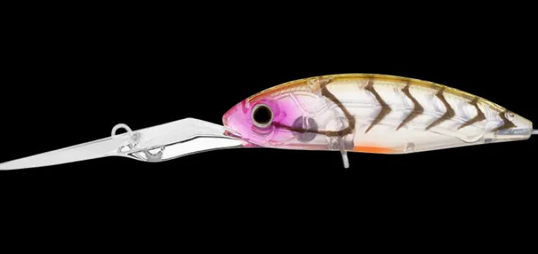 Daiwa Flies|Fishing Lures<Infeet Spike 53EXDR