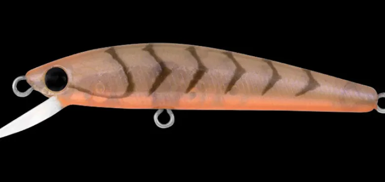 Daiwa Flies|Fishing Lures<Presso Minnow 60F