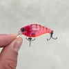 Jackall Flies|Fishing Lures<Chubby 38F Shallow