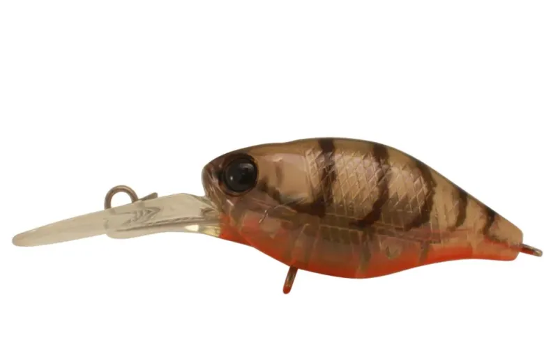 Jackall Flies|Fishing Lures<Diving Chubby 38F Deep