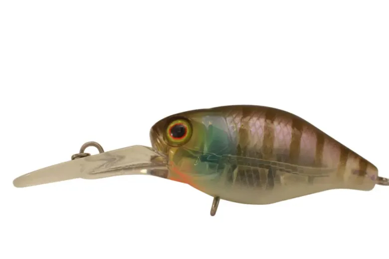Jackall Flies|Fishing Lures<Diving Chubby 38F Deep