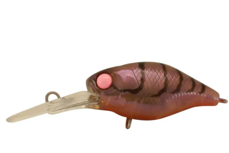 Jackall Flies|Fishing Lures<Diving Chubby 38F Deep