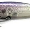 Jackall Flies|Fishing Lures<Squirrel 61SP