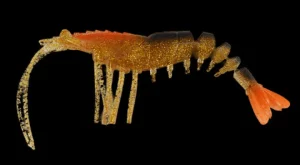 TackleWest Soft Plastic Lures|Flies<King Brown Killer Prawn