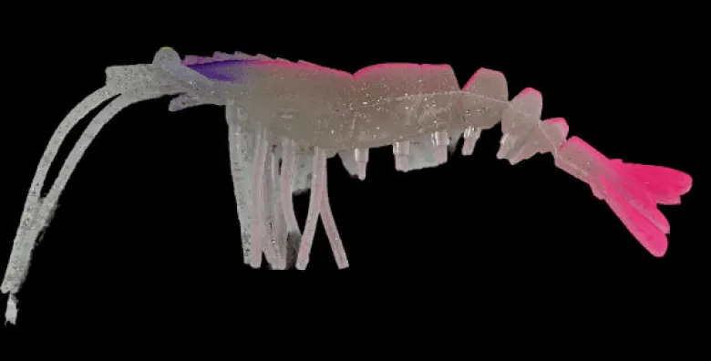 TackleWest Soft Plastic Lures|Flies<King Brown Killer Prawn