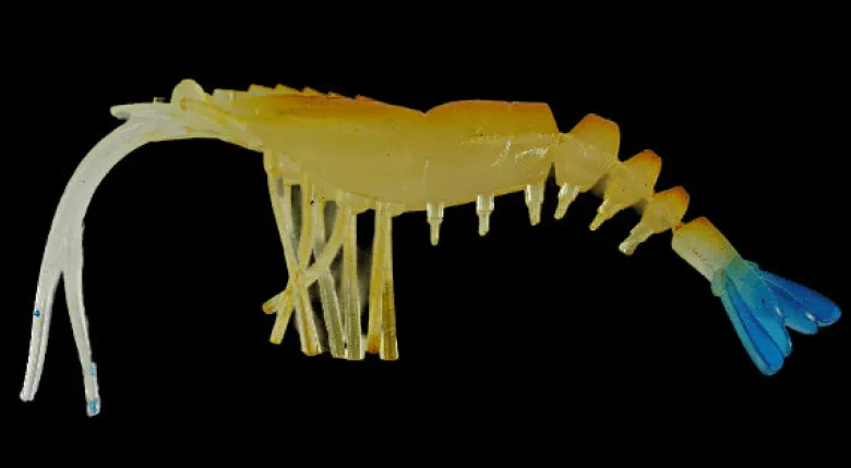 TackleWest Soft Plastic Lures|Flies<King Brown Killer Prawn