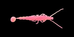 TackleWest Soft Plastic Lures|Flies<Madeye Paddle Prawn