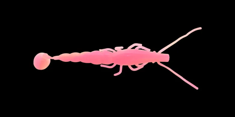 TackleWest Soft Plastic Lures|Flies<Madeye Paddle Prawn