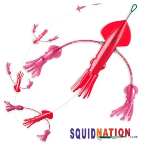 TackleWest Teasers|Teasers<Pakula SquidNation Flippy Floppy Teaser