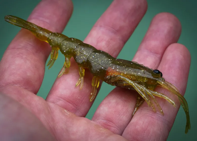 TackleWest Soft Plastic Lures|Flies<Pro Lure Clone Prawn 92mm