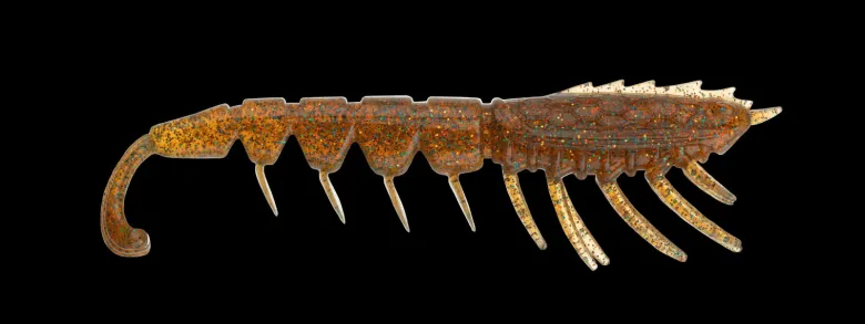 TackleWest Soft Plastic Lures|Flies<Rapala Crush City The Imposter 4.5