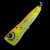 ASWB Popper Lures|Flies<ReefsEDGE Roey Pop 80g