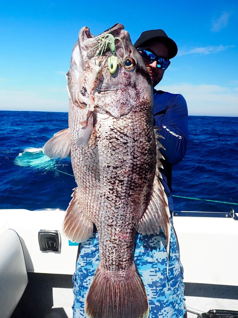 TackleWest Vexed Hybrid Jigs|Flies<Vexed Bottom Meat Bundle