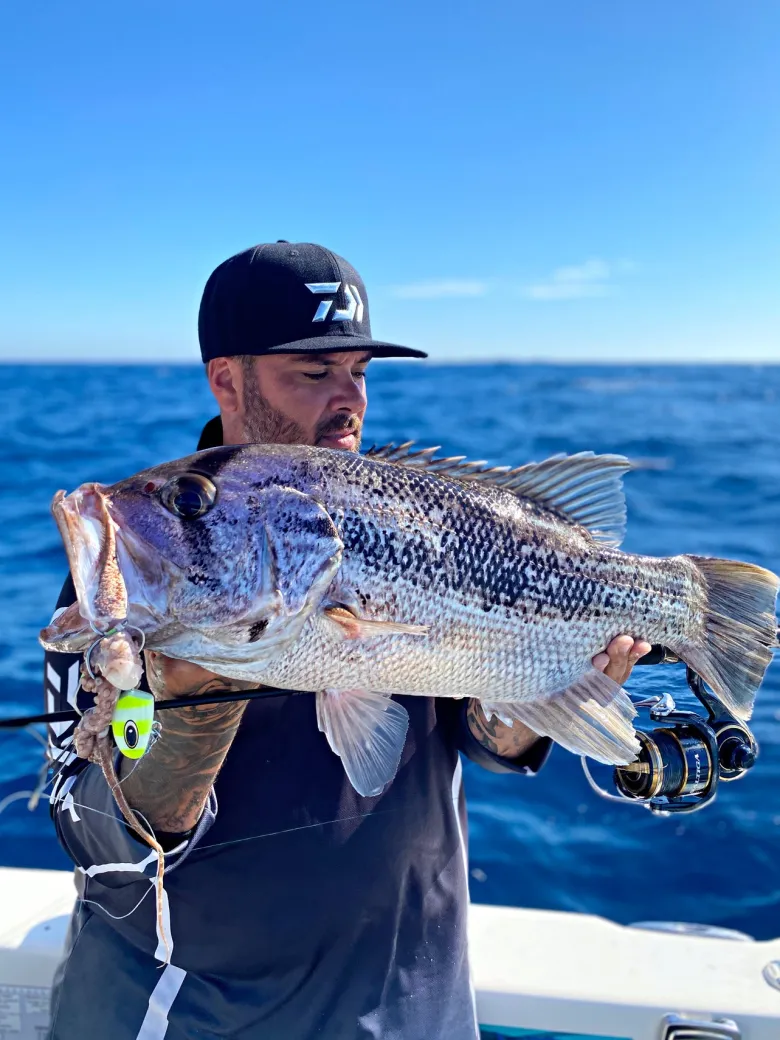 TackleWest Vexed Hybrid Jigs|Flies<Vexed Bottom Meat Bundle