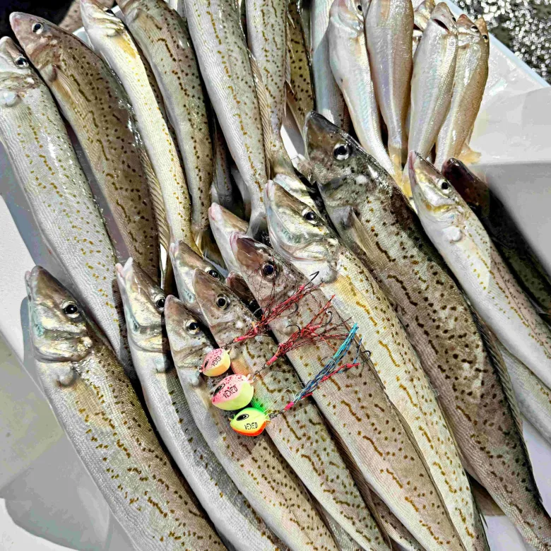 Vexed Vexed Hybrid Jigs|Flies<Bottom Worm Long Shank