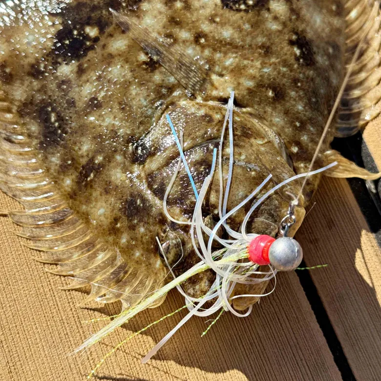 Vexed Lead Head Jig Lures|Flies<Buckabou Jig Wig 5-pack