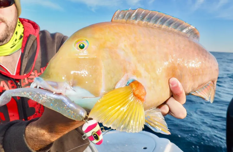 Vexed Jigheads|Flies<Dhu Bomb