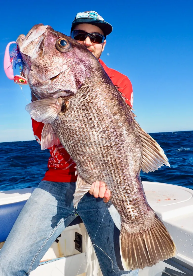 Vexed Jigheads|Flies<Dhu Bomb