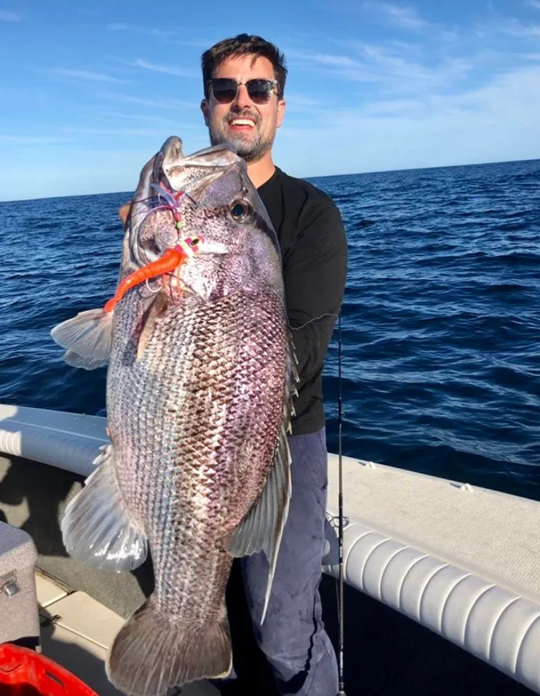 Vexed Jigheads|Flies<Dhu Bomb