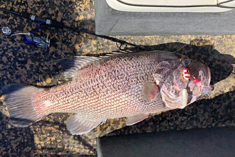 Vexed Jigheads|Flies<Dhu Head