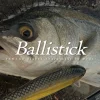 Yamaga Flies|Surf/Beach/Rock Rods<Blanks Ballistick TZ Nano