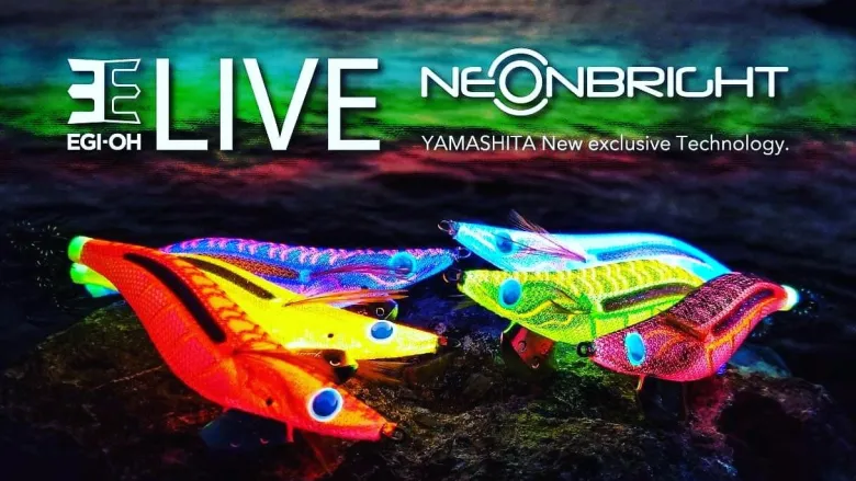 TackleWest Squid Jigs|Flies<Yamashita Egi OH Live Neon Bright